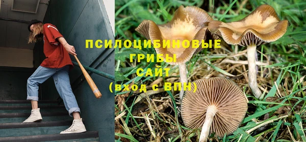 дживик Дмитриев