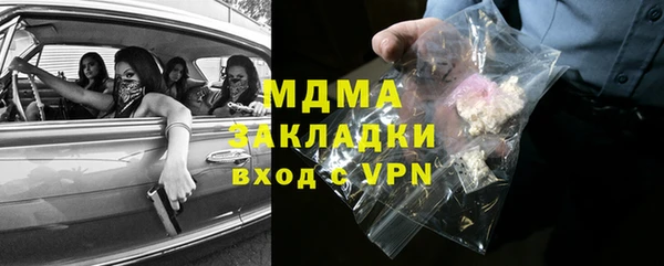 прущие грибы Дмитровск