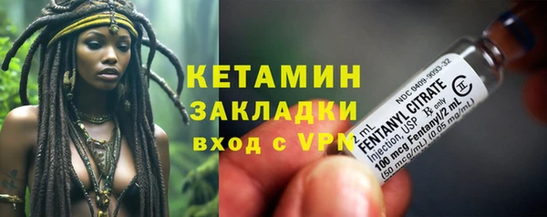 прущие грибы Дмитровск
