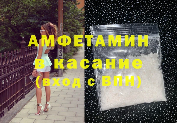 прущие грибы Дмитровск