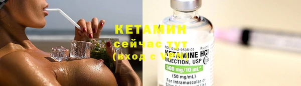 прущие грибы Дмитровск