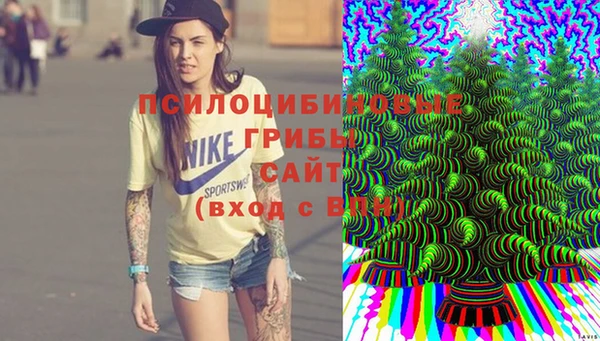 дживик Дмитриев
