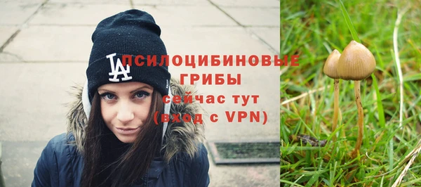дживик Дмитриев