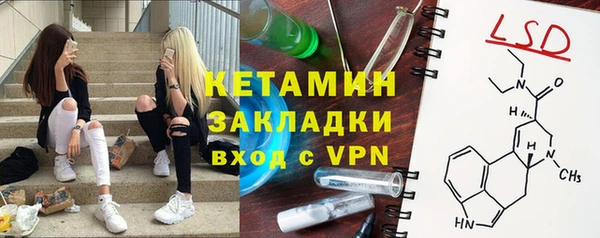 прущие грибы Дмитровск