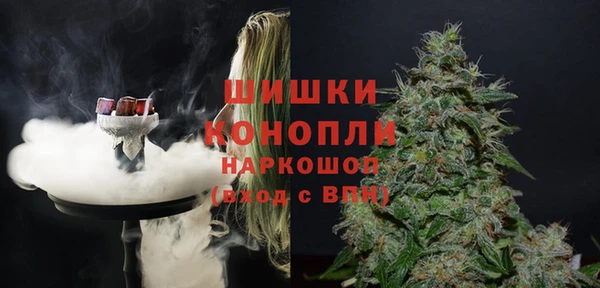 прущие грибы Дмитровск