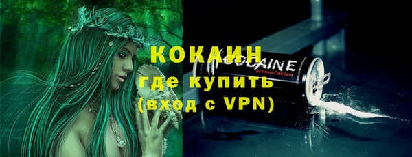 прущие грибы Дмитровск