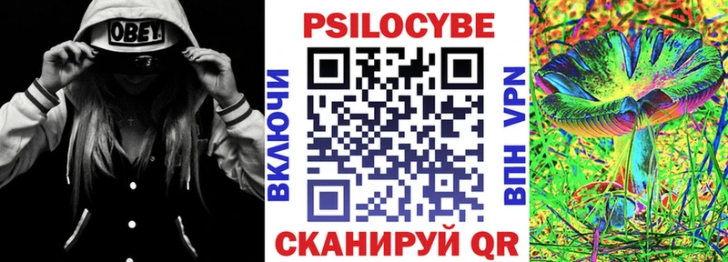 Купить закладки  Ивантеевка  Псилоцибиновые грибы ЛСД 